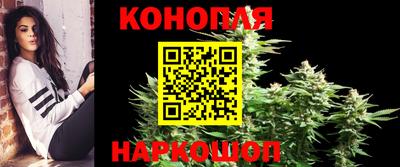 круглые Кингисепп