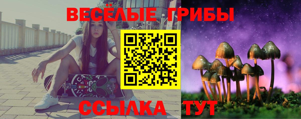 Галлюциногенные грибы MAGIC MUSHROOMS  Вход с VPN  Буйнакск 
